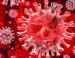 Coronavirus C Hanlon Environmental Services