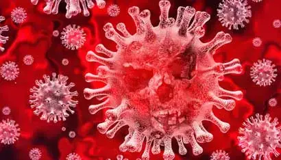 Coronavirus C Hanlon Environmental Services