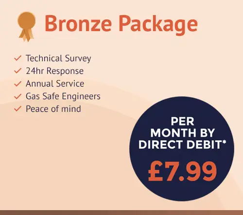 C Hanlon Bronze Maintenance Package infographic