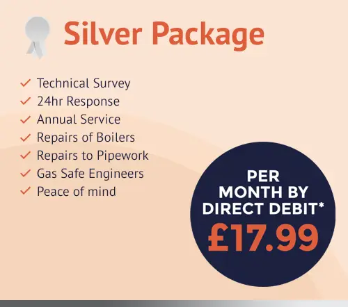 C Hanlon Silver Maintenance Package infographic